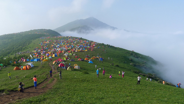 相机买了很多,全幅,半幅,4\/3,1寸都有,无意中拍