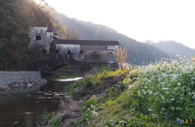 祁门大坦乡这座石拱石屋的古廊桥叫"安阜桥,建于明嘉靖年间,距今有