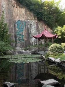 上海商城作品：静