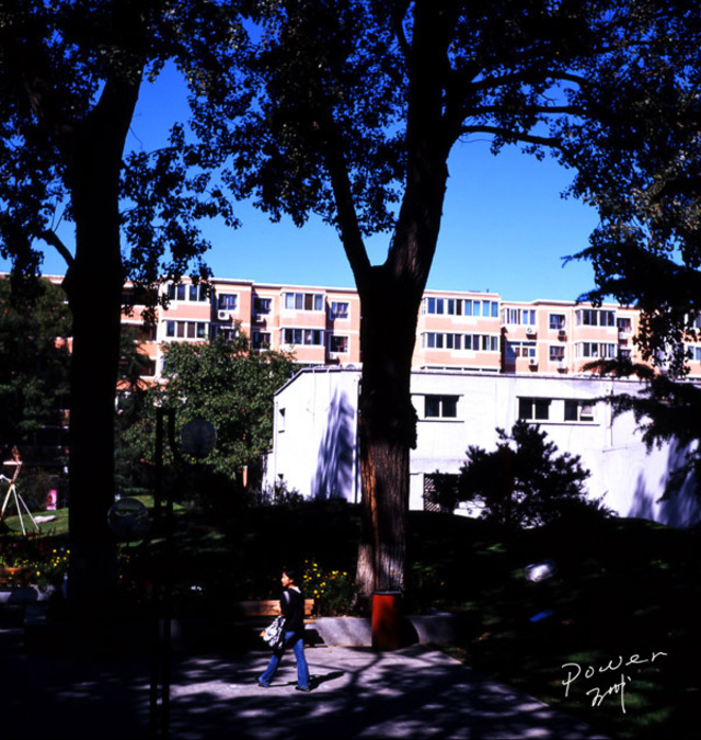 八十年代作品：大学风景