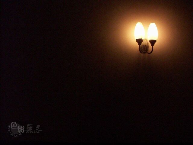 海心蓝作品：孤寂的夜