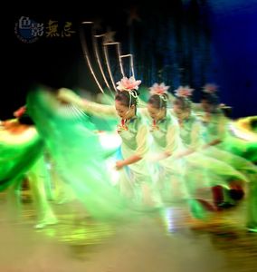 皖江良月作品：飞旋的舞者!