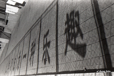 七月河作品：光的书法
