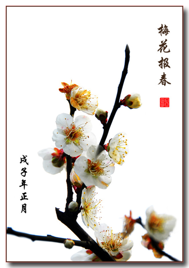 刘建人舞者作品：梅花报春