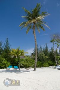 deluxeddy作品：FANTASTIC MALDIVES COLLOECTION
