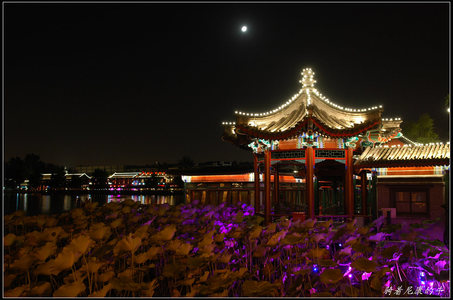 骑着尼康的牛作品：前海之夜