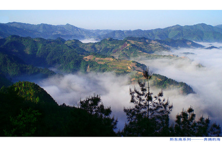 新摄影的胖老头作品：奔腾的海