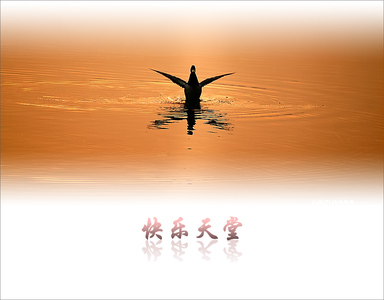 指南针作品：快乐天堂二