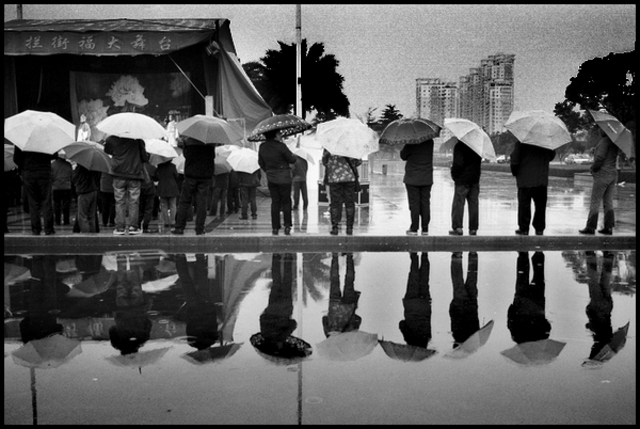 holibadge作品：雨中看戏(一)