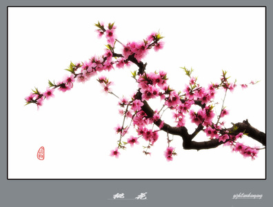 一只老山羊作品：桃 花 图(3)