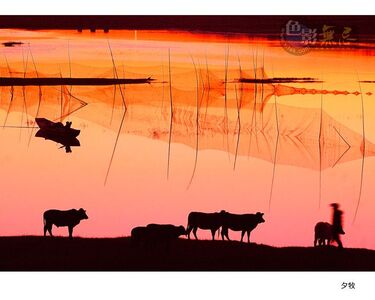 沉醉光影作品：夕牧