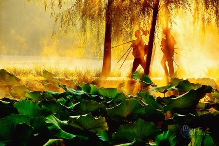 山水畅游作品：摄影师的梦想从穿越晨光开始