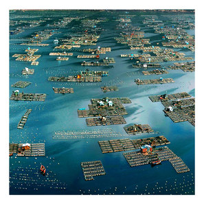 海滨浪人作品：海上部落