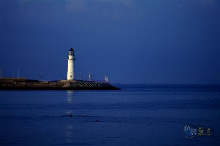 ascarpen作品：曙光海泳