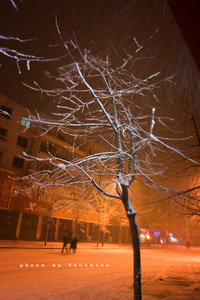 没事数钱玩作品：雪.静
