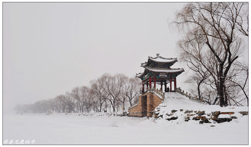 骑着尼康的牛作品：风雪练桥