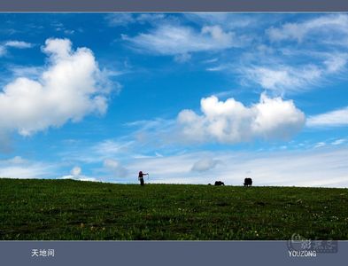 游踪KD作品：天地间