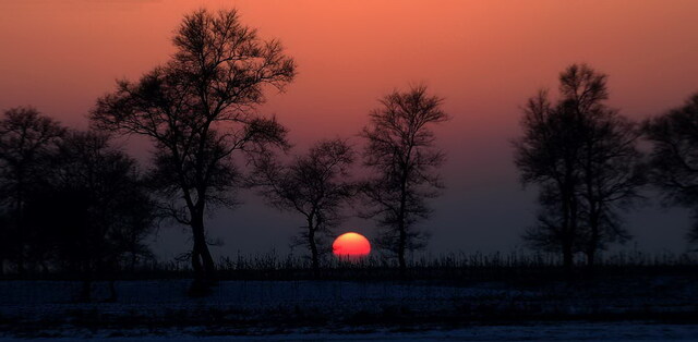 f4xinzhu作品：夕阳西下