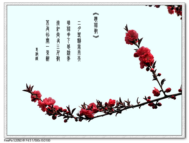 海天如一作品：碧桃花下感流年
