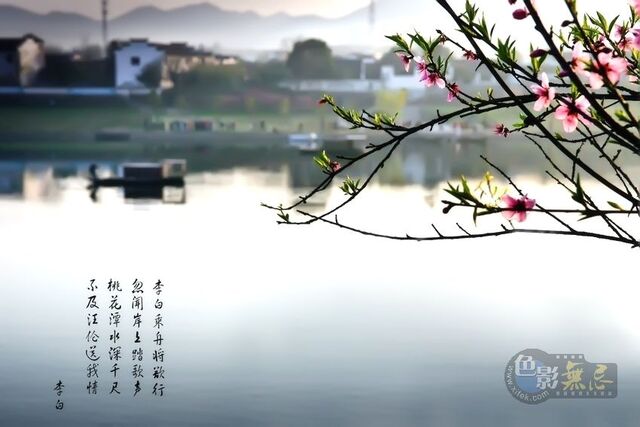 苏艺作品：桃花潭