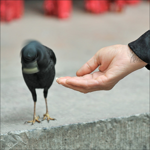 宇宙旁观者作品：thanks, but no