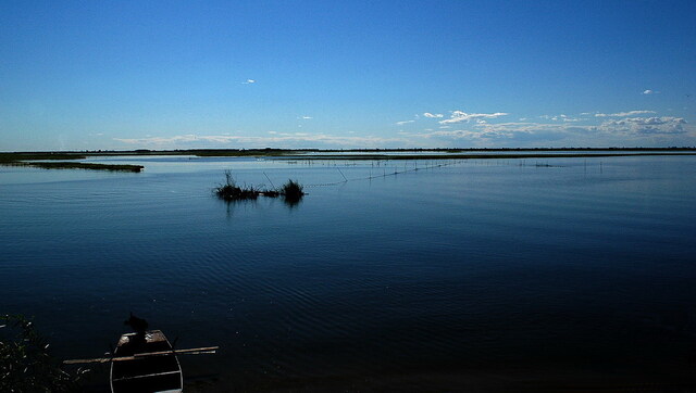 f4xinzhu作品：莫莫格湿地--