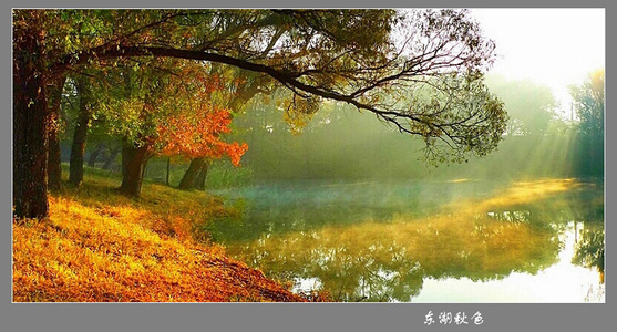温柔之光作品：东湖秋色