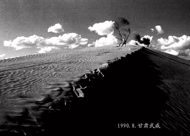前兄作品：生命