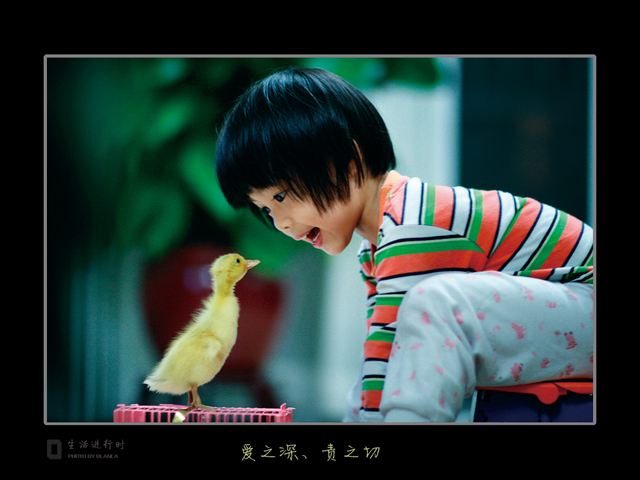 blanca作品：爱之深，责之切
