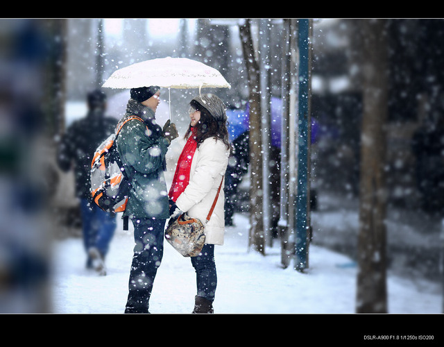 hdqjyzx作品：雪中柔情