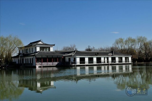 放飞的翅膀作品：翠柳报春图