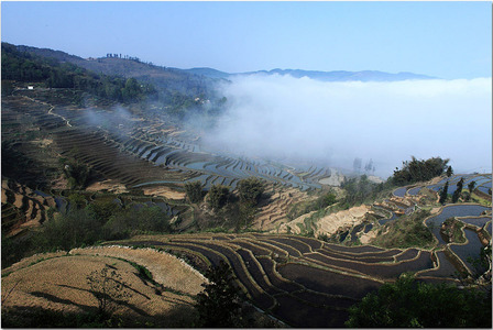 gjk作品：元阳梯田 1 麻栗寨