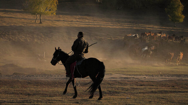 查利作品：草原牧马人！