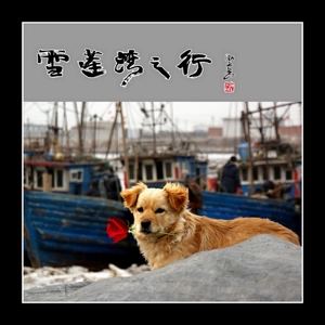 落潮湾作品：2012.2.14情人泪