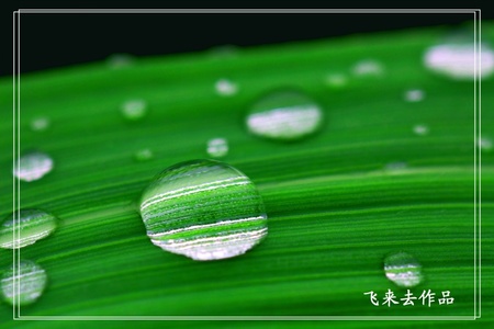 flyingmyself作品：水滴