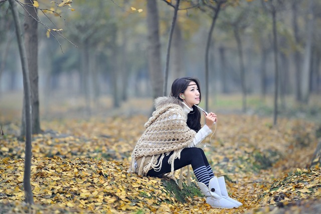与风随行作品：银杏秋林
