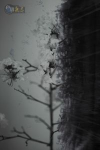 赵辙作品：When you alone