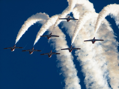 siliconworm作品：Snowbirds