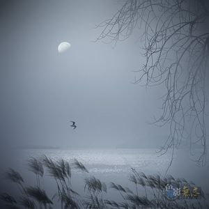 lh8866作品：秋夜
