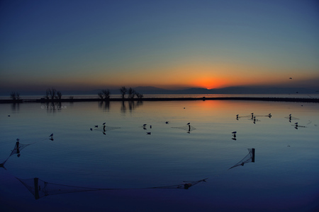 罐头熊作品：滇池黎明静悄悄