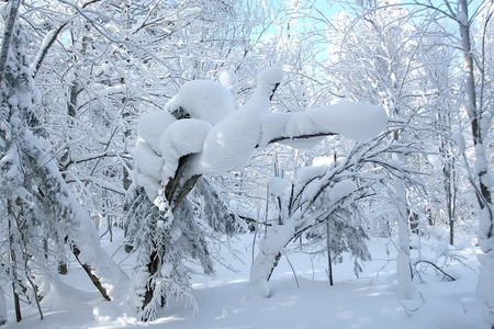 xutong59作品：雪