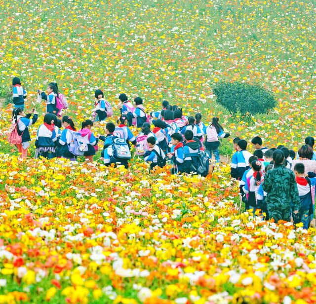 与风随行作品：花朵儿