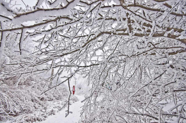 摄友王作品：雪景图