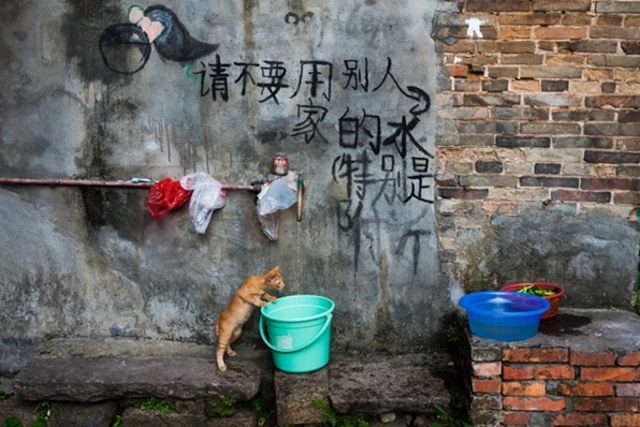 引体向上作品：小猫取水