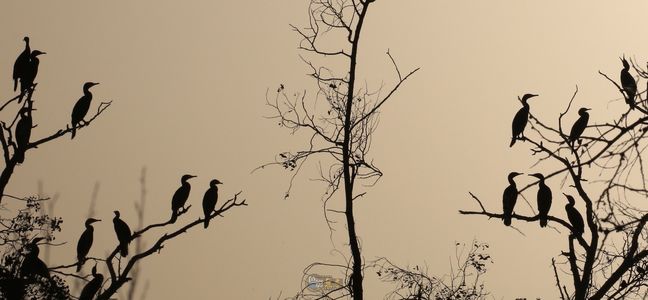 驼峰韵作品：晚霞中情歌对唱