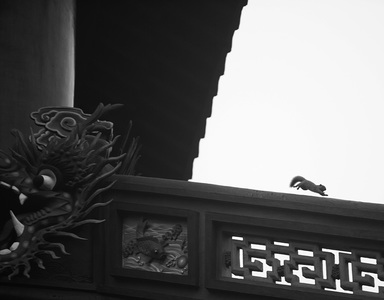 神六de作品：寺中精灵