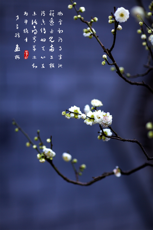 动画人作品：清香传得天心在