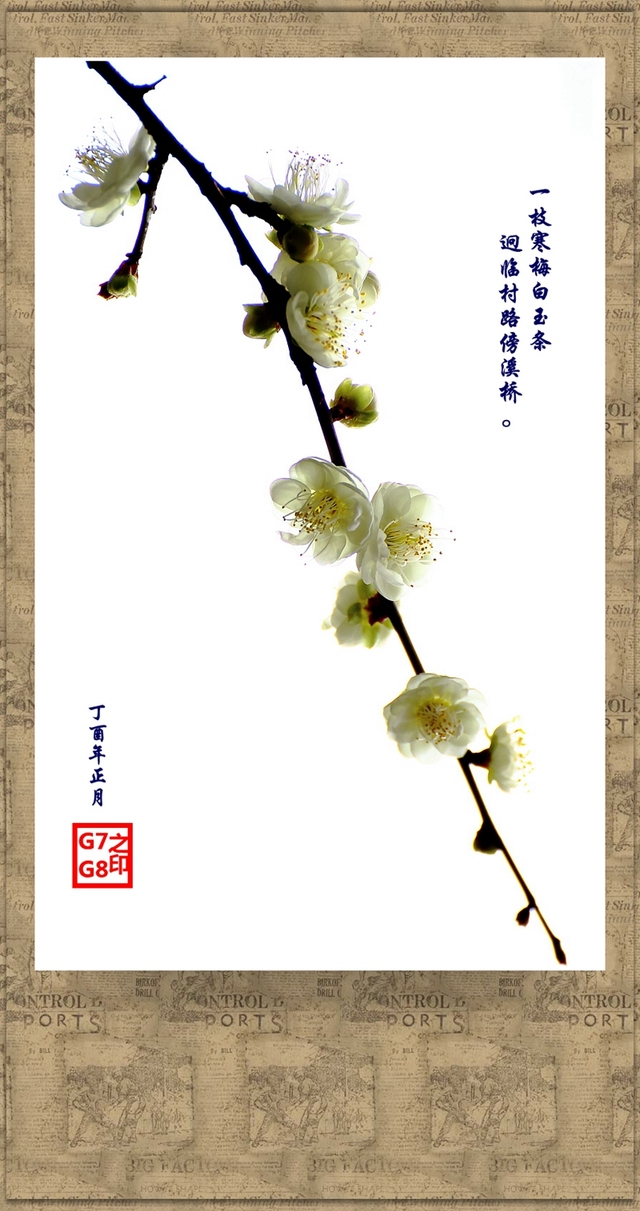 gang7gang8作品：仿国画《梅》