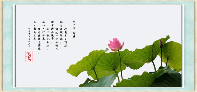 gang7gang8作品：荷塘