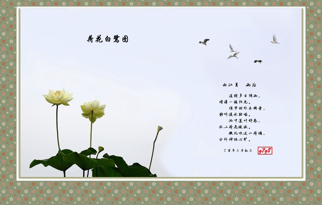 gang7gang8作品：荷花白鹭图
